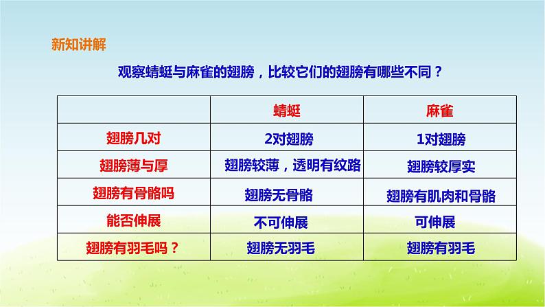 粤教版三年级上册科学1.2《蜻蜓与麻雀》课件07