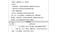 小学科学教科版 (2017)一年级上册2.观察一颗植物教案设计