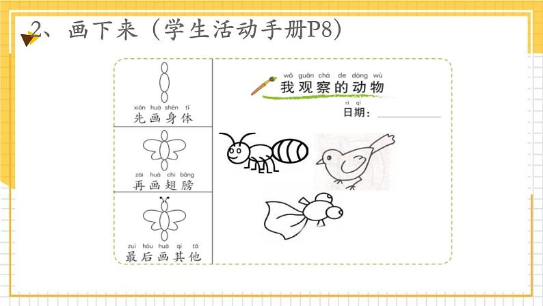 教科版一年级下册科学2.1我们知道的动物PPT课件全套完整版第4页