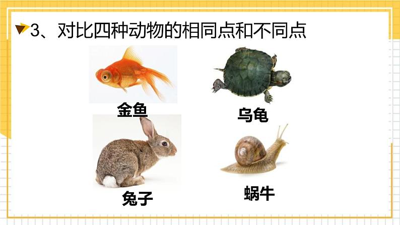 教科版一年级下册科学2.1我们知道的动物PPT课件全套完整版第5页