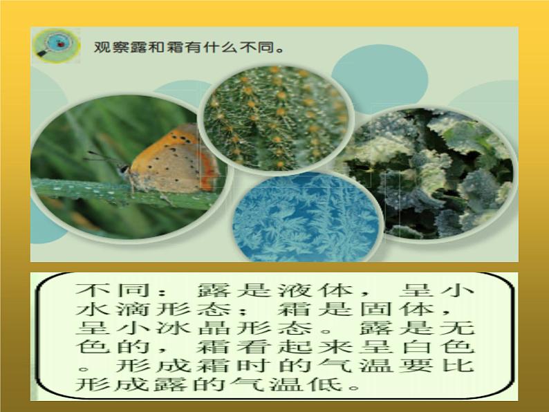 14、露和霜课件PPT02