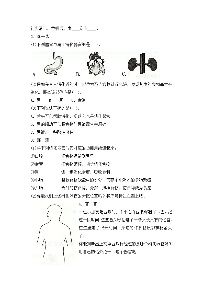 新湘科版科学四上:第二单元 消化与呼吸 复习提纲与练习(有答案)第2页
