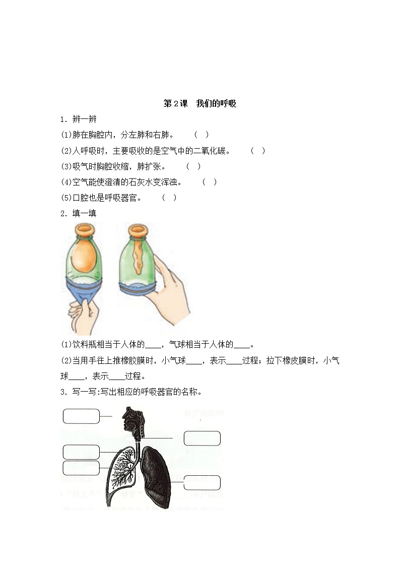 新湘科版科学四上:第二单元 消化与呼吸 复习提纲与练习(有答案)第3页