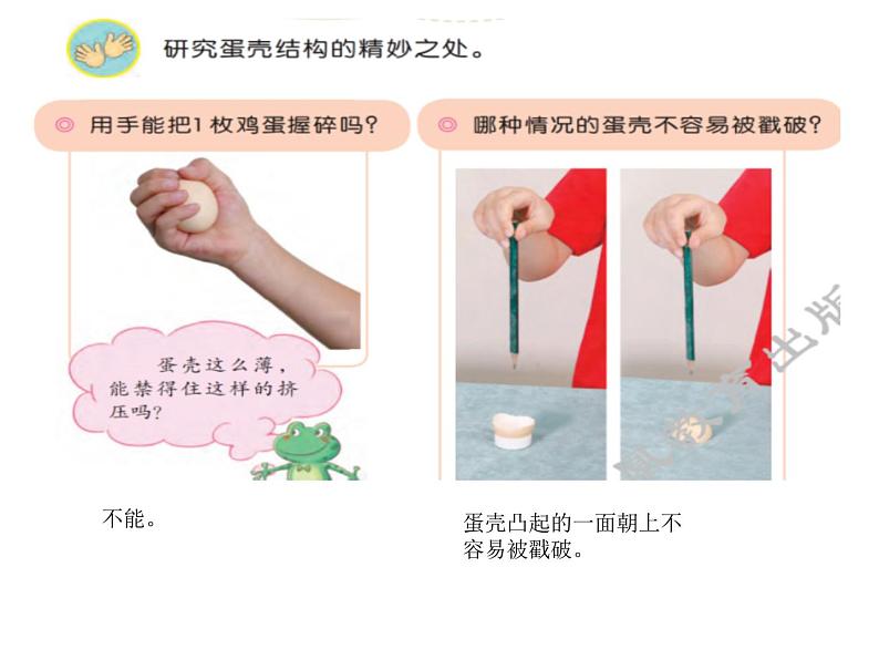 6、蛋壳与拱形建筑课件PPT03