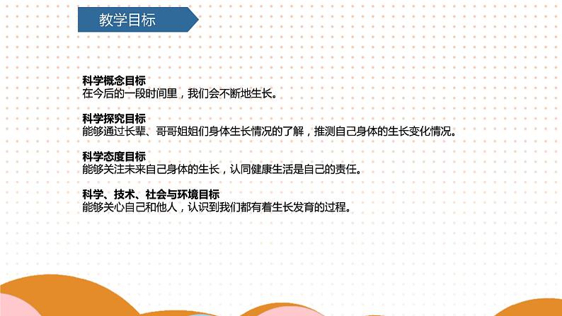 教科版二年级下册科学《身体的“时间胶囊”》课件PPT第4页