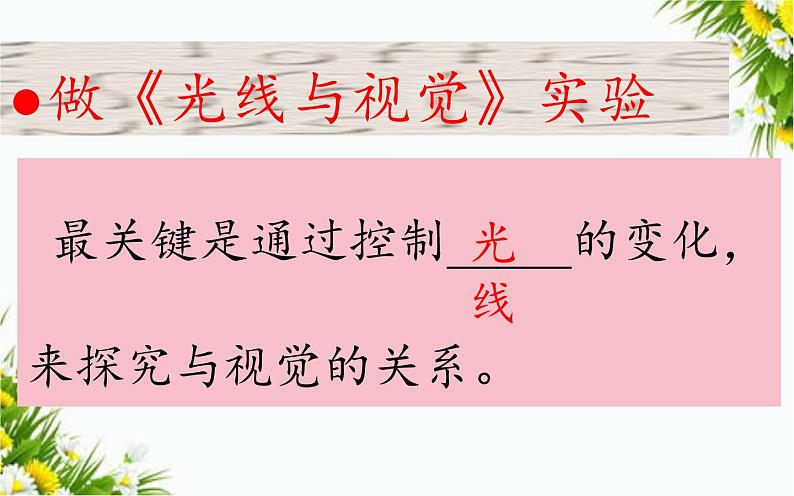 大象版五年级下册科学1.4 光线与视觉课件05