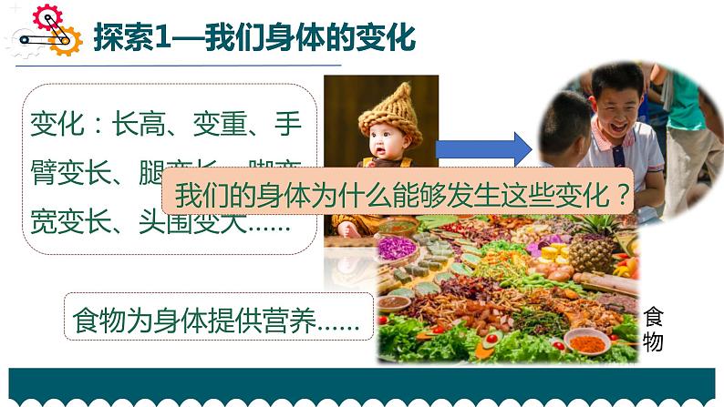 教科版科学 六下4.6《生命体中的化学变化》课件(内嵌视频)04