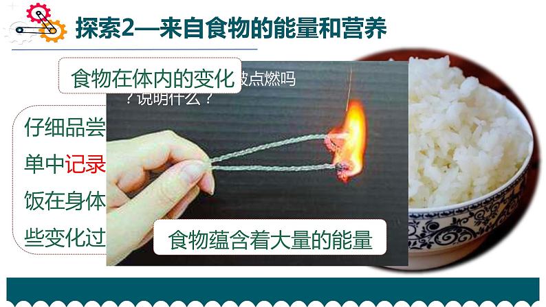 教科版科学 六下4.6《生命体中的化学变化》课件(内嵌视频)05
