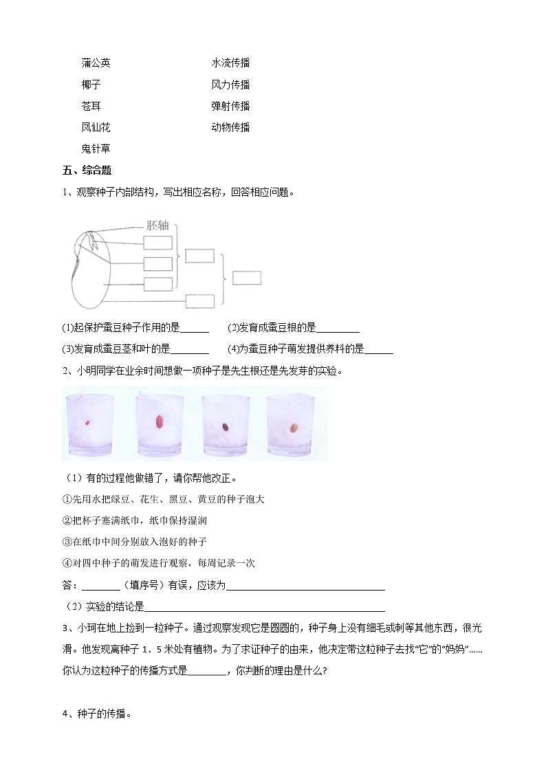 苏教版四年级科学下册4.12《用种子繁殖》练习课时练习第2页
