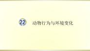 小学科学青岛版 (五四制2017)五年级下册第六单元 生物与环境22 动物行为与环境变化说课课件ppt