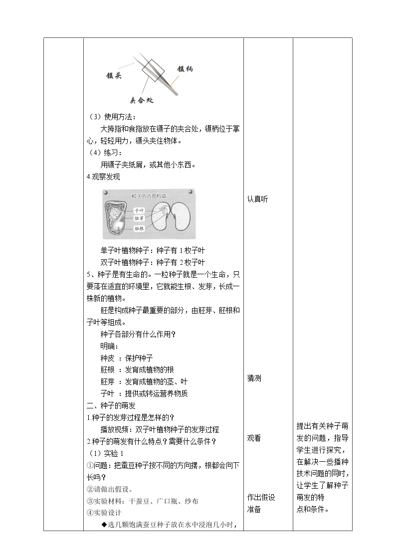 苏教版四年级科学下册4.12《用种子繁殖》教案表格式02