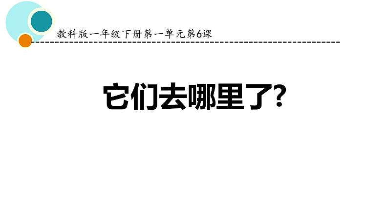 教科版一年级下册科学1.6它们去哪了PPT课件全套完整版第1页