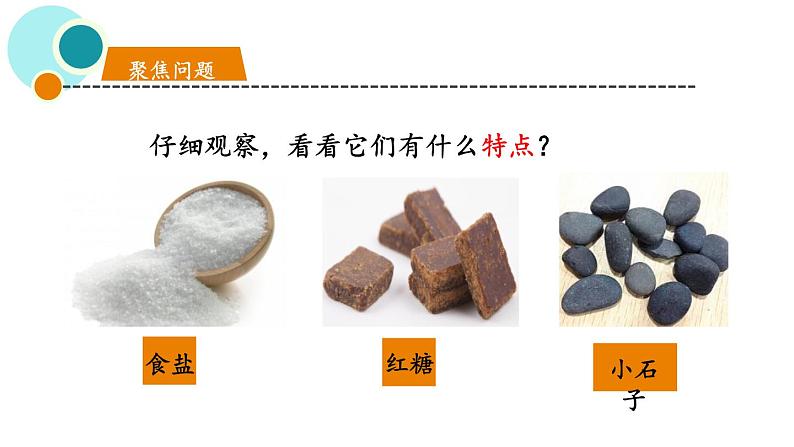 教科版一年级下册科学1.6它们去哪了PPT课件全套完整版第5页