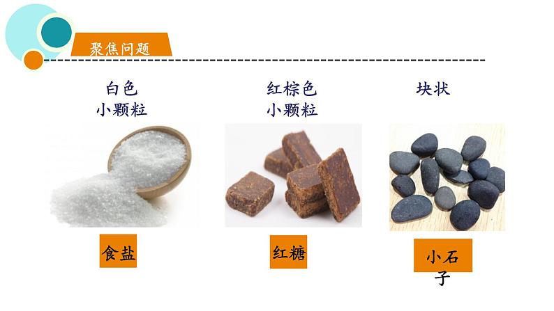 教科版一年级下册科学1.6它们去哪了PPT课件全套完整版第6页