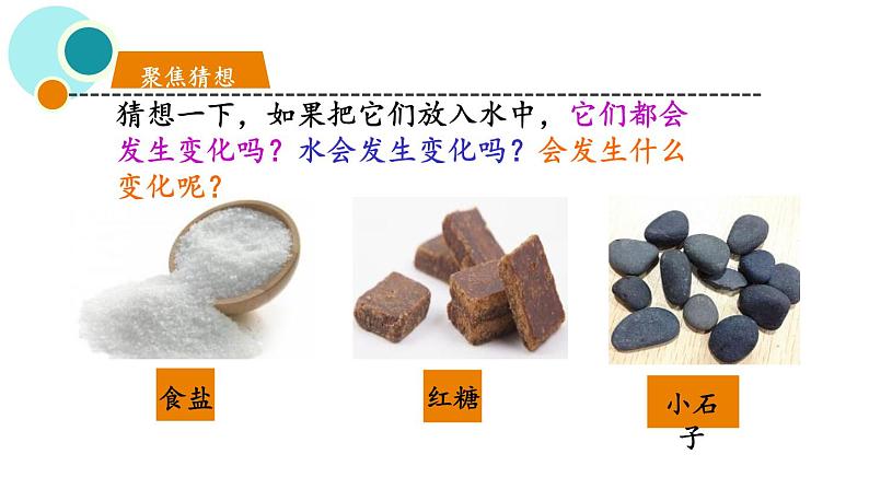 教科版一年级下册科学1.6它们去哪了PPT课件全套完整版第7页
