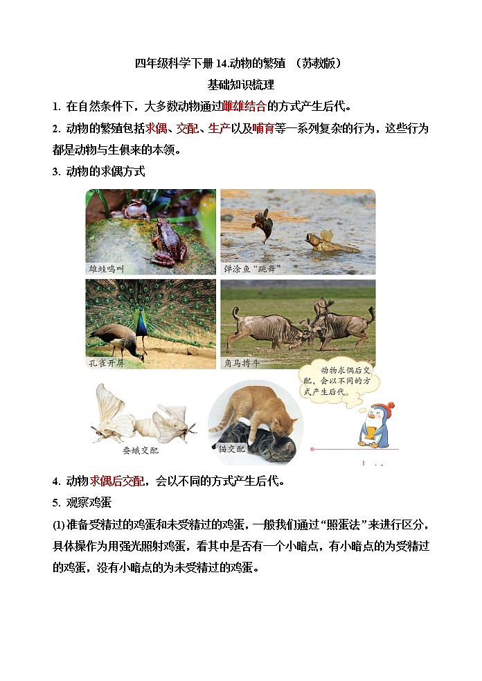 【精】四年级科学下册14++动物的繁殖(苏教版)基础知识梳理第1页