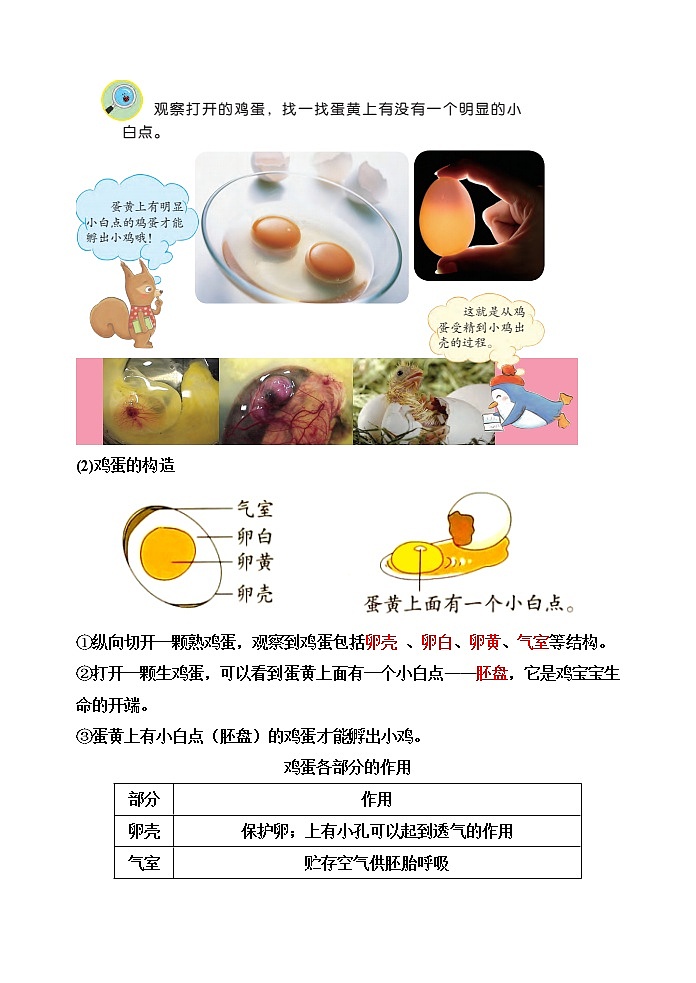 【精】四年级科学下册14++动物的繁殖(苏教版)基础知识梳理第2页