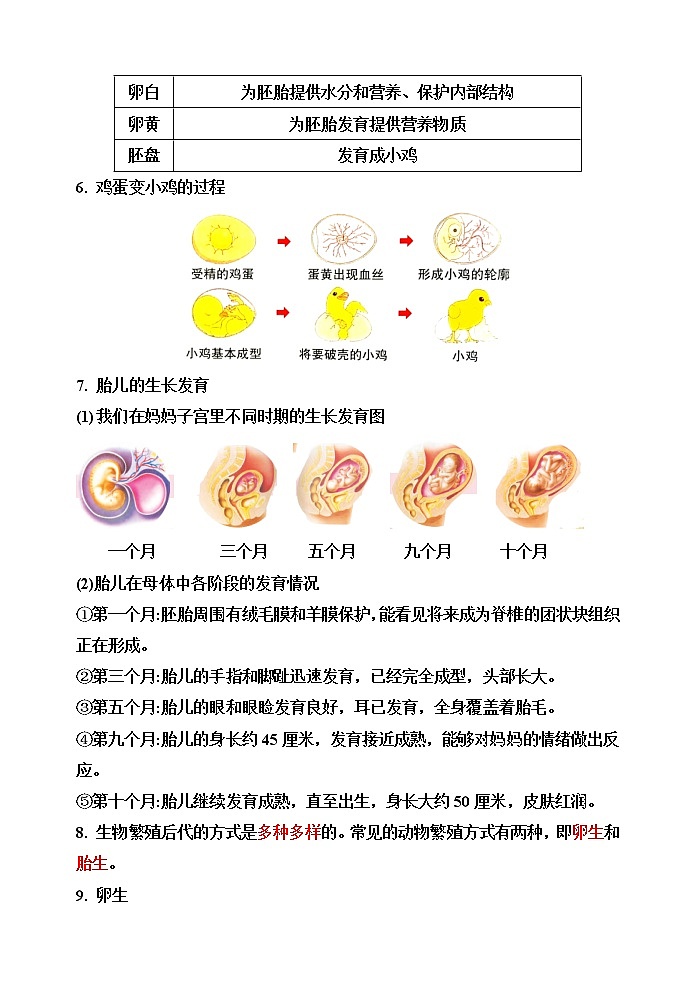 【精】四年级科学下册14++动物的繁殖(苏教版)基础知识梳理第3页