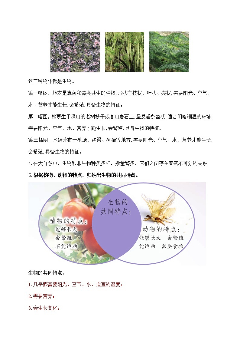新苏教版科学四年级下册第五单元《生物与环境》知识点整理第2页