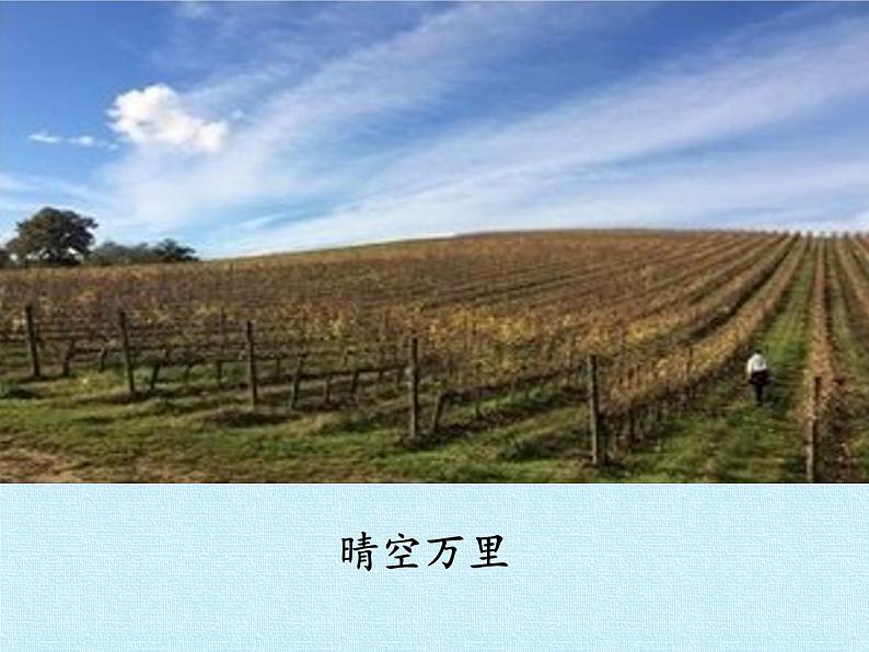 冀人版(2017秋)科学一年级下册  9. 多样的天气(课件)第7页