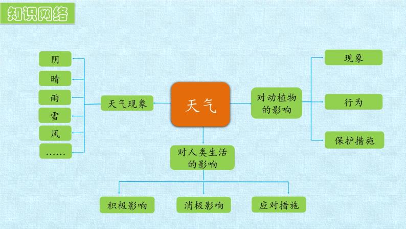 冀人版（2017秋）科学一年级下册  11. 天气与生活 复习（课件）03