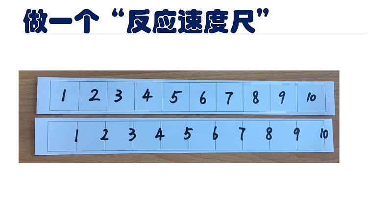 教科版(2017秋)科学二年级下册 测试反应快慢(2)(课件)07