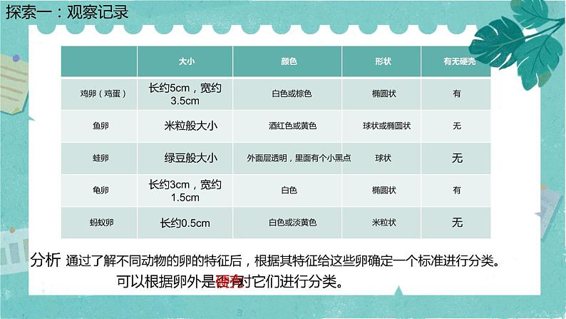 2-2认识其他动物的卵 课件PPT+教案+素材07