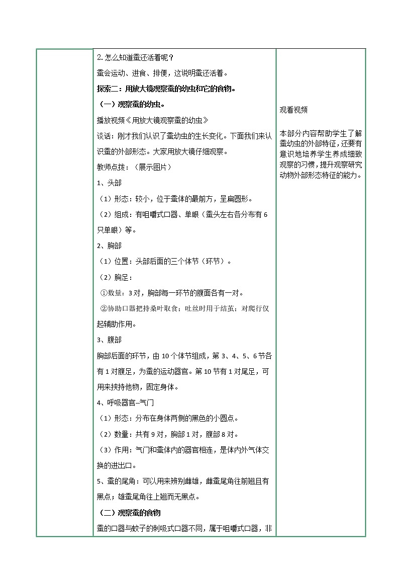 2-3蚕长大了 课件PPT+教案+素材02