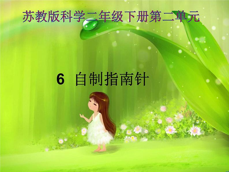 苏教版(2017秋)科学二年级下册 6 《自制指南针》(课件)第1页
