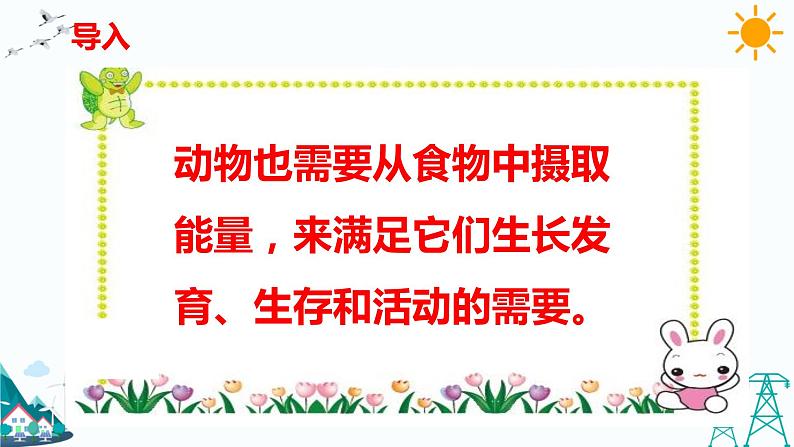 4.2 动物的食物 教学课件第2页