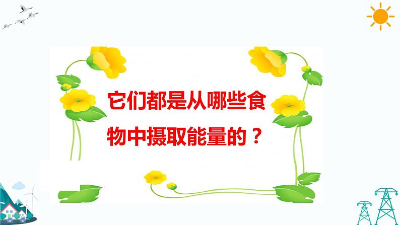 4.2 动物的食物 教学课件第3页