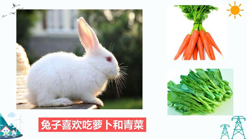 4.2 动物的食物 教学课件第4页