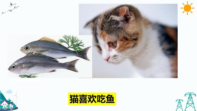 4.2 动物的食物 教学课件第7页