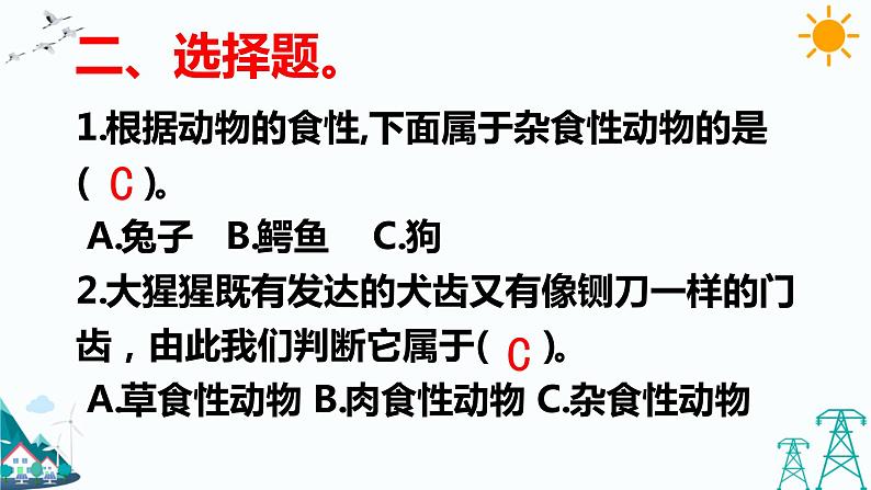 4.2 动物的食物 练习题(含答案)第3页