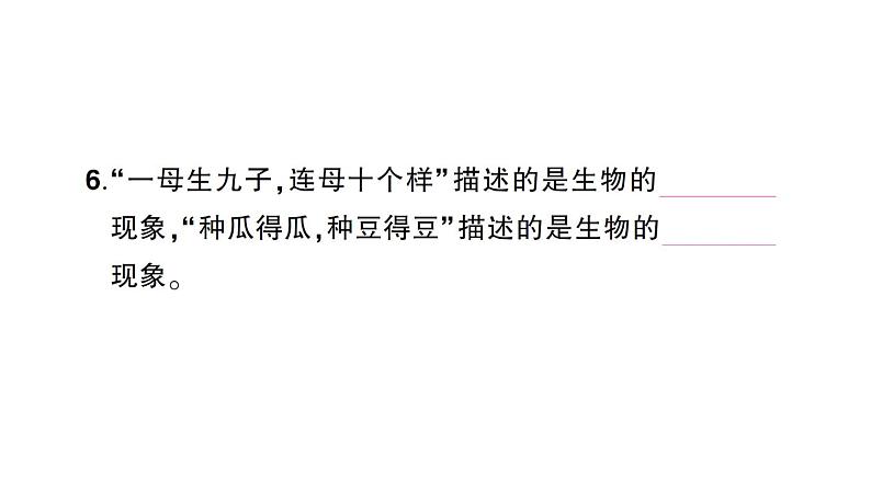 教科版科学六年级下册第一、二单元阶段性综合复习课件04
