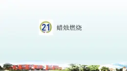 小学科学青岛版六三制五年级下册第六单元第21课《食物链》课件5