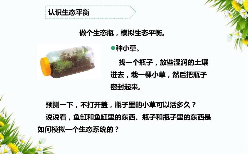 大象版五年级下册科学 4.5 生态平衡(课件PPT+教案)05