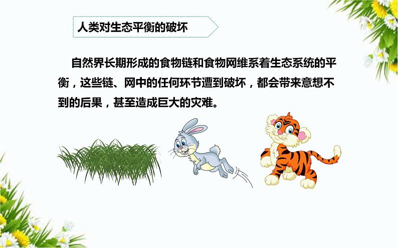 大象版五年级下册科学 4.5 生态平衡(课件PPT+教案)06