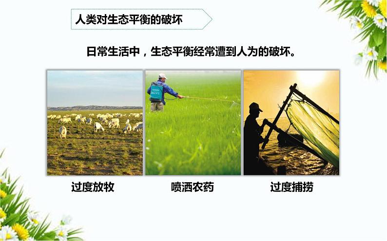 大象版五年级下册科学 4.5 生态平衡(课件PPT+教案)07