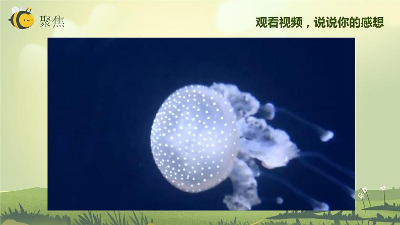 2.7保护生物多样性(课件)教科版(2017)科学六年级下册第2页