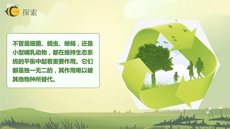 2.7保护生物多样性(课件)教科版(2017)科学六年级下册第5页