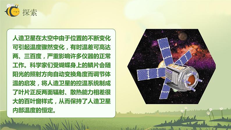 2.7保护生物多样性(课件)教科版(2017)科学六年级下册第6页