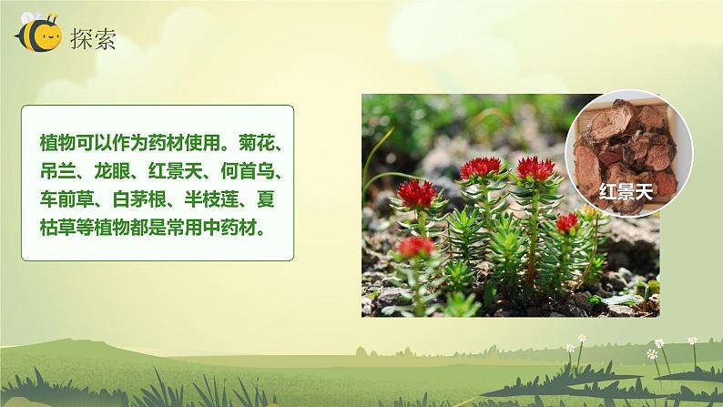 2.7保护生物多样性(课件)教科版(2017)科学六年级下册第7页