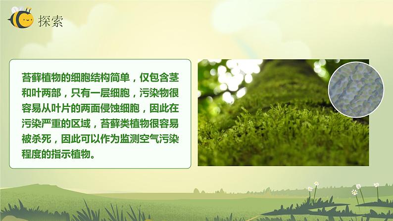 2.7保护生物多样性(课件)教科版(2017)科学六年级下册第8页