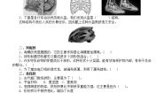 小学科学苏教版 (2017)五年级下册第二单元 仿生6 蛋壳与拱形建筑习题