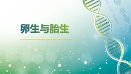 四年级下册科学《卵生与胎生》课件PPT