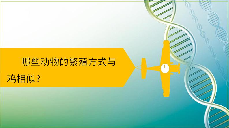 四年级下册科学《卵生与胎生》课件PPT第6页