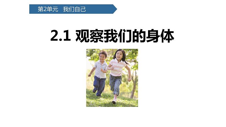 教科版科学二年级下册我们自己 1 观察我们的身体 完整版教学PPT课件01