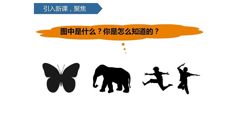 教科版科学二年级下册我们自己 1 观察我们的身体 完整版教学PPT课件03
