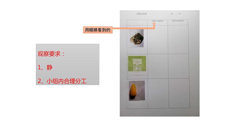 教科版科学二年级下册我们自己 2 通过感官来发现 完整版教学PPT课件06